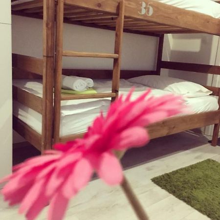 Hostel Poolside 萨格勒布 外观 照片