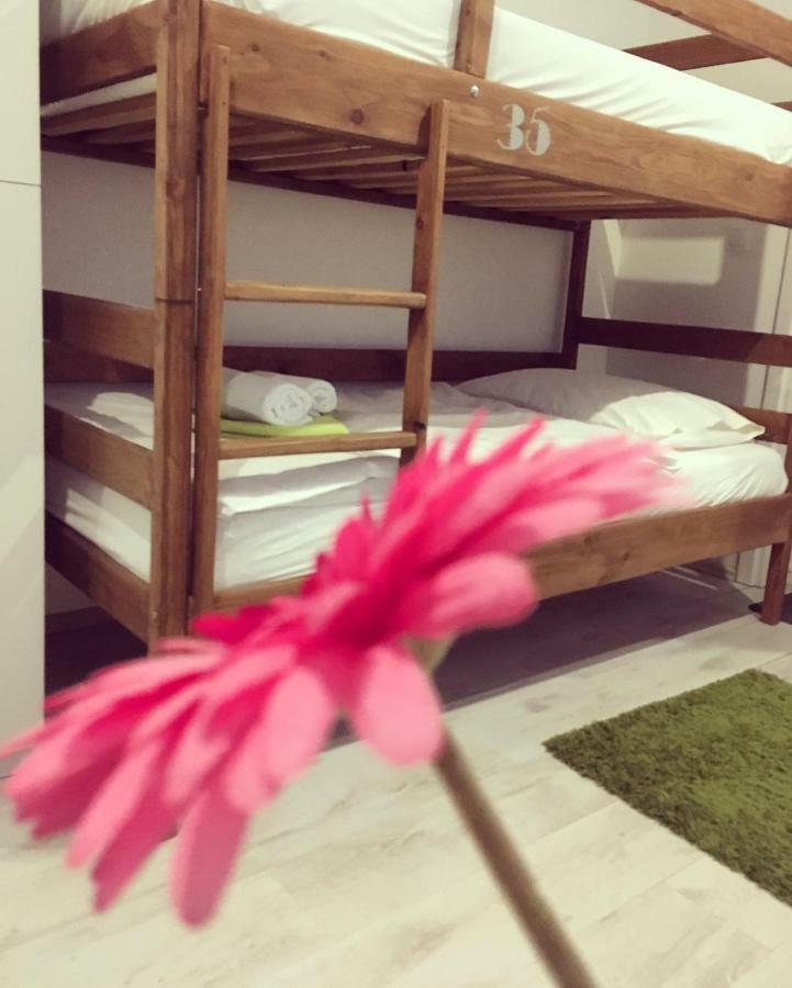 Hostel Poolside 萨格勒布 外观 照片